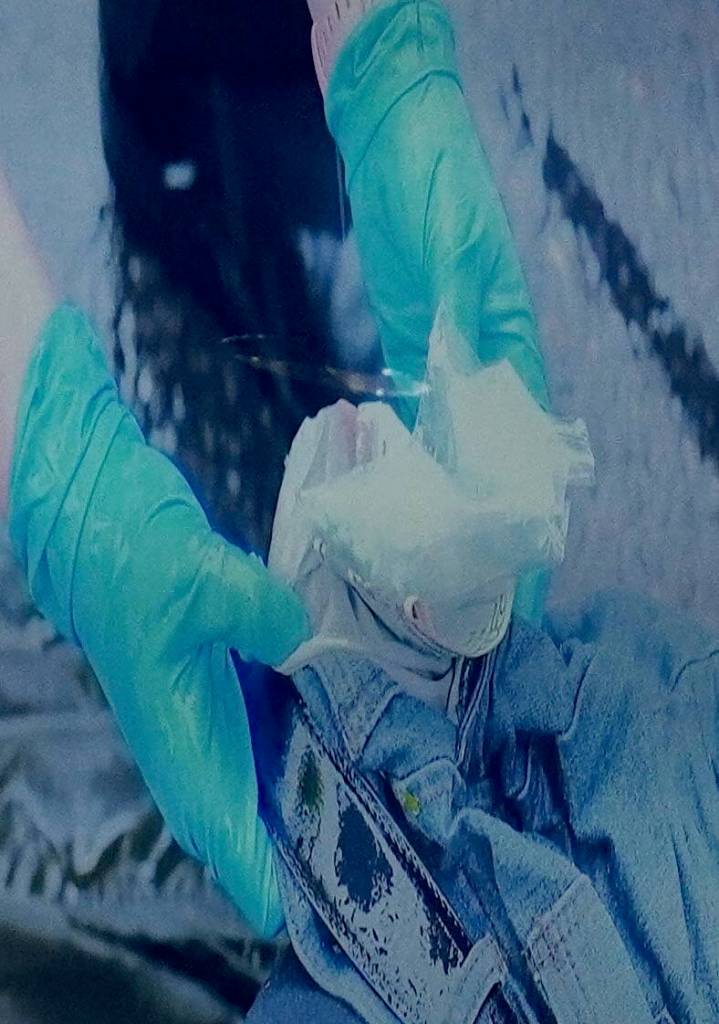 The bag of blue pills found on Uso Hales body. Photo by Joshua Solorzano/The Mirror