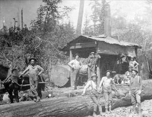 Weyerhaeuser Timber Co., Camp 2, Walsh Lake, Southeastern King County, near the now-extinct town of Barneston, June 15, 1904. Photo courtesy UW Special Collections