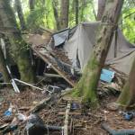 Before photo of one area of the Hylebos wetlands cleaned up by Stand Up Federal Way Community. Photo provided by Stand Up Federal Way Community.