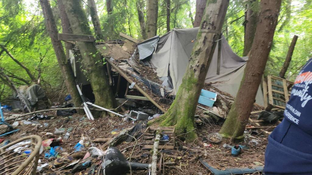 Before photo of one area of the Hylebos wetlands cleaned up by Stand Up Federal Way Community. Photo provided by Stand Up Federal Way Community.
