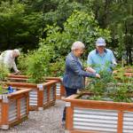 Finding the right hobby is all about discovering what brings you joy and what makes you distinctly you. Courtesy Village Green Senior Living