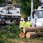 PSE crews deal with fallen trees from the Nov. 19-20 windstorm that struck Western Washington. COURTESY PHOTO, PSE