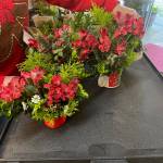 Floral arrangements created by the Marine Hills Garden Club. Photo provided by Debbie Angel