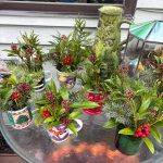 Greenery, festive leaves and holiday themed mugs come together to create holiday spirit in these floral arrangements created by the Marine Hills Garden Club. Photo provided by Debbie Angel