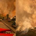 Photos of the fires in Los Angeles in January, as seen on South King Fires Facebook page. Courtesy photos