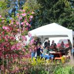 The rain garden at the South King Tool Library is in full bloom, adding to the experience for participants in a native plant workshop on Saturday, April 5.