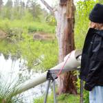 Once students select their tiny salmon fry, they drop the salmon into the pond through a slide, with support from city staff from the Federal Way Public Works Department. Photo by Keelin Everly-Lang / the Mirror