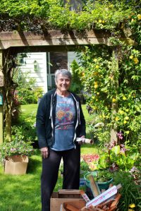Carol Grimes is a Master Gardener and works at the Neely Mansion, and is a member of the Marine Hills Garden Club. She picked up an order that included some herbs for the mansions kitchen garden. Photo by Keelin Everly-Lang / the Mirror