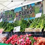 Local farmers filled the market with vibrant fresh produce on opening day of the Federal Way Farmers Market. Photo by Keelin Everly-Lang / the Mirror