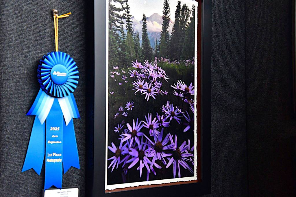 First place for the photography category was a vibrant nature photo.