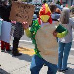 Several signs included references to TACO, an acronym that stands for Trump Always Chickens Out and has gained traction online since it was first used by Financial Times journalist Robert Armstrong in an opinion piece in early May. Photo by Keelin Everly-Lang/the Mirror