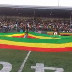 The ESFNA annual tournament includes cultural performances, dance, music, food, vendors and more in addition to the soccer matches themselves. Photo courtesy of ESFNA.