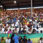 The stands were packed with guests enjoying the festivities at the 2017 ESFNA held in Renton. Photo courtesy of ESFNA.