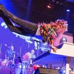 Sean Trombley channels Elton Johns legendary energy in Electric Elton – a tribute packed with flair. Photos courtesy of Moon Coin Productions Inc.