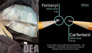 Courtesy photos 
A photo from the seizure and a photo showing carfentanils lethality.