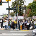 Protesters held signs demanding the release of the Epstein files, expressing that immigrants deserve due process, asking for science to be brought back to healthcare and stating that where law ends, tyranny begins. Photo by Rachel Jones