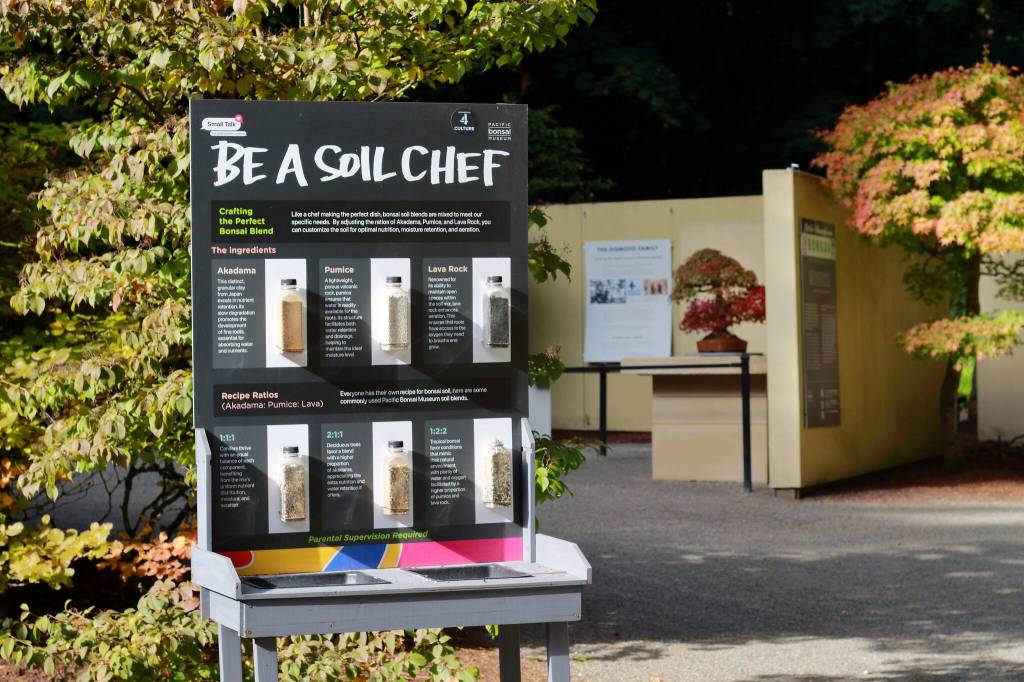 At the recent Small Talks exhibit, educational displays taught guests about horticulture through the lens of bonsai, allowing them to get a hands-on experience with soil and other features. Photos by Keelin Everly-Lang / the Mirror