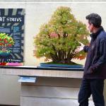 Pacific Bonsai Museum curator Aarin Packard describes one of his favorite bonsai, a tiny living forest from one of his teachers. Photo by Keelin Everly-Lang / the Mirror.