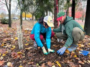 16 stewards, 3 Washington Native Pant Society staff, 69 volunteers, and Federal Way Parks and Recreation coordinators came together to restore Celebration Park and the Steel Lake Annex on Nov. 15 for Plantapalooza. Photo courtesy of the City of Federal Way.