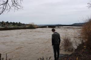 The flooded Cedar River flowing into Lake Washington. Photo by Bailey Jo Josie/Sound Publishing
