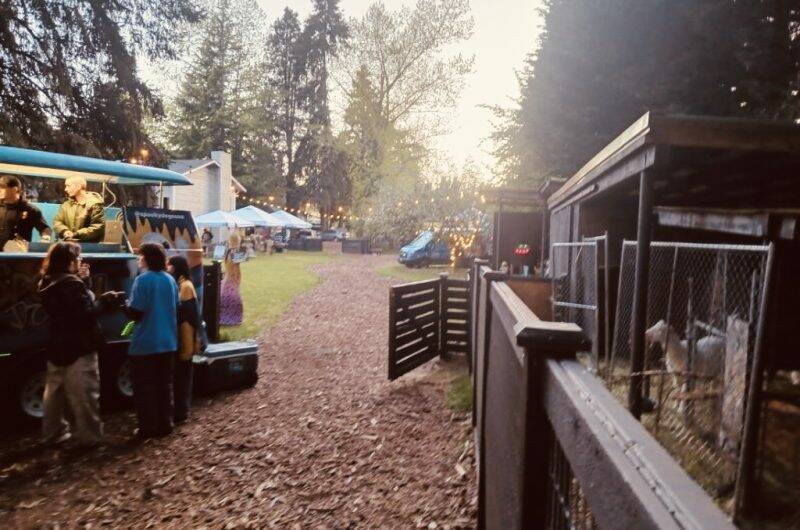 Camp Moxy Jos features unique aspects, from its camper vans and vintage RVs to goats and colorful gathering spaces. Courtesy photo.