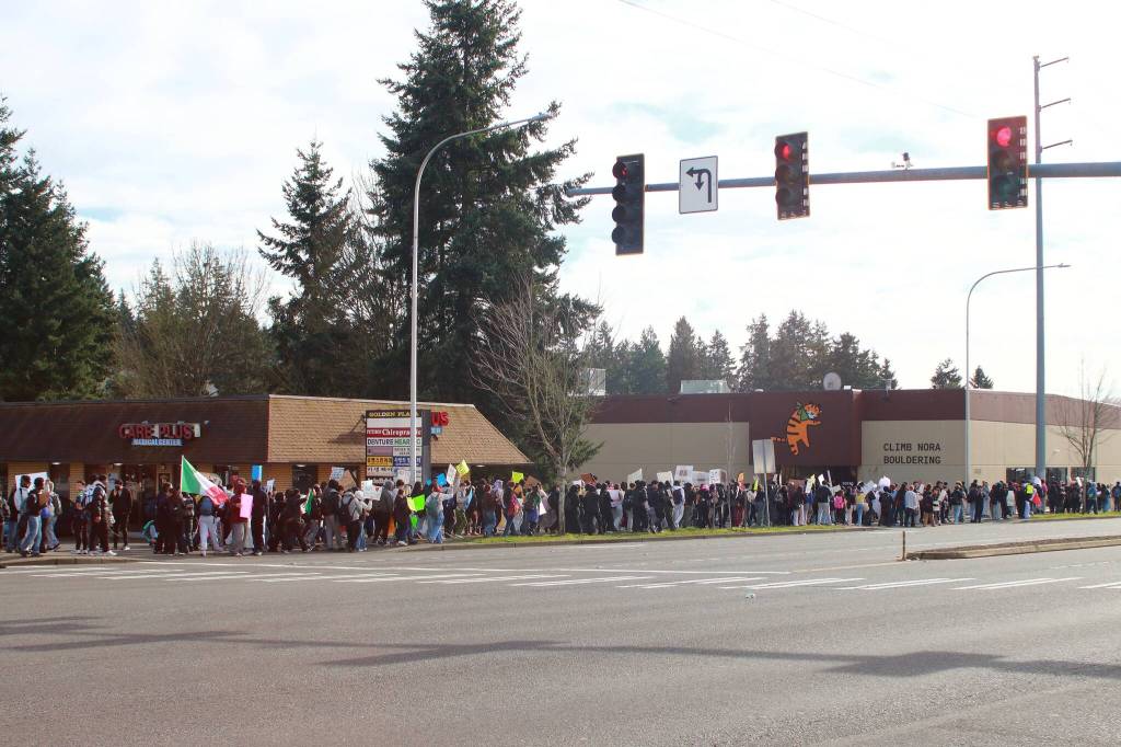 Hundreds of students participated in a demonstration on Feb. 5 to speak out against the actions of ICE and the immigration crackdown. They marched from Federal Way High School to Pacific Way South and S. 320th St. Photo by Keelin Everly-Lang / the Mirror