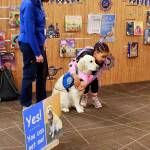 A library visitor meets Sharon the comfort dog at the Federal Way Library.
