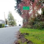 This area of 20th Avenue South will be part of a citywide Greenway infrastructure, connecting bike lanes and walking areas throughout the city. Photo by Keelin Everly-Lang / the Mirror