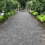 Photo courtesy of Martha Collins
Fruit trees line the path in the Federal Way Senior Center Garden.