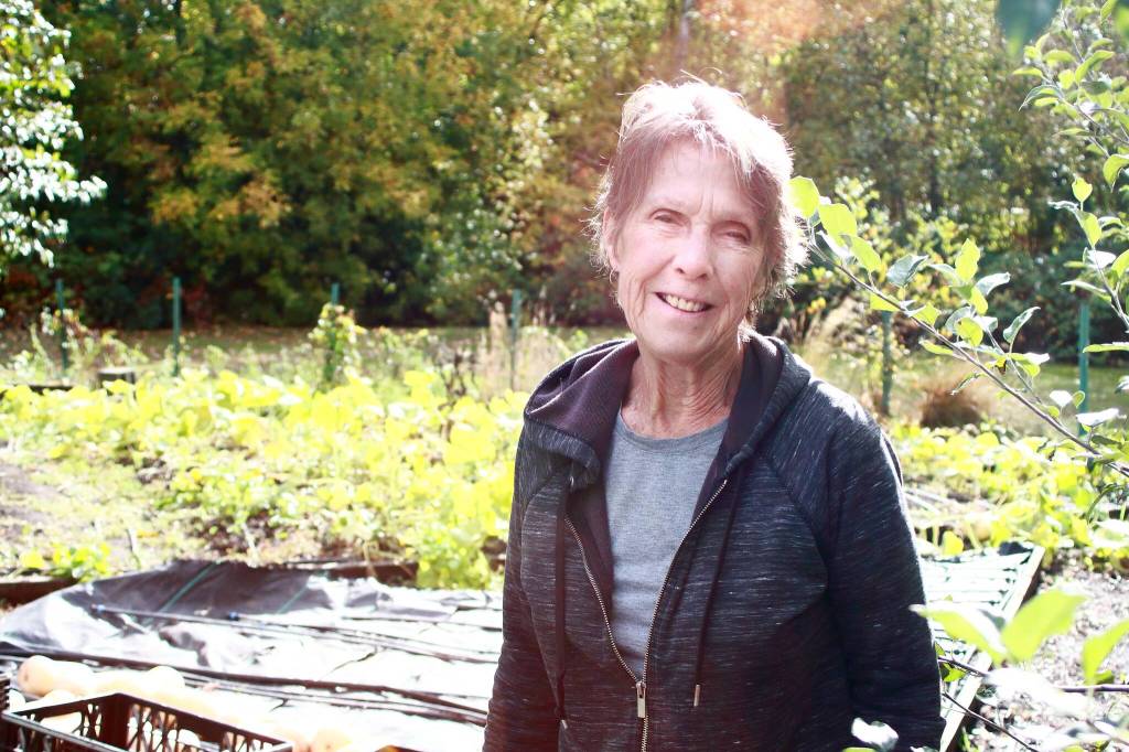 Longtime volunteer Martha Collins at the Federal Way Senior Center garden. Photo by Keelin Everly-Lang / the Mirror