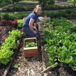 Photo courtesy of Martha Collins
Volunteer Gretchen Persinger.