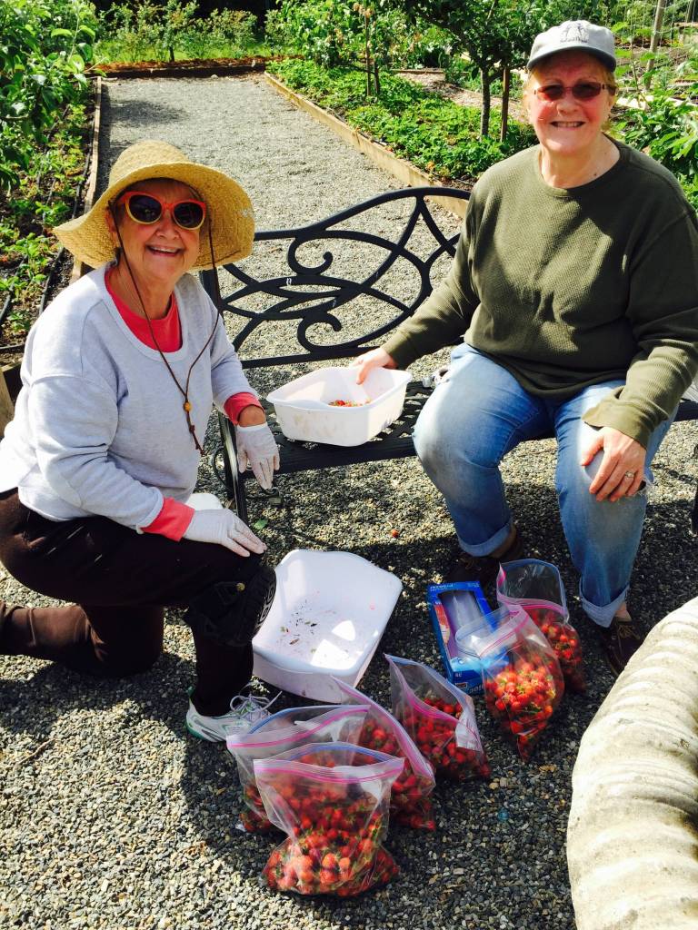 Volunteers at the garden.