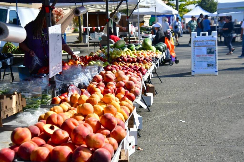 Colorful piles of fresh fruits wait for shoppers to take them home at a Federal Way Farmers Market in 2025. Photo by Bruce Honda.