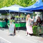 The Federal Way Farmers Market featured new and longtime vendors. Photo by Keelin Everly-Lang / the Mirror