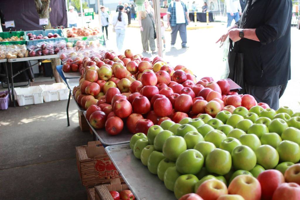 While it is still early in the season for a lot of produce vendors, opening day featured plenty of vibrant fruits and vegetables. Photo by Keelin Everly-Lang / the Mirror