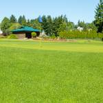 The revamped second hole green at Cedar Irons. Photo provided by Robby Mullikin.