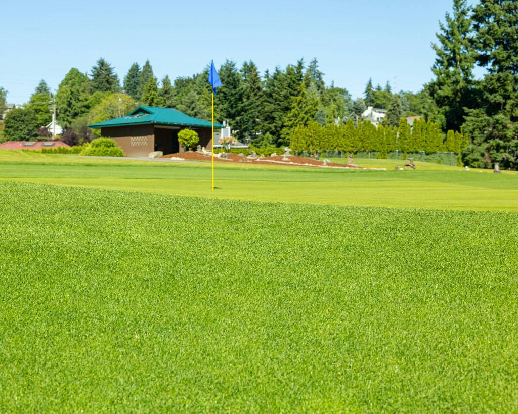 The revamped second hole green at Cedar Irons. Photo provided by Robby Mullikin.
