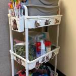 A cat enrichment cart. Photo by Madeleine Goldberger
